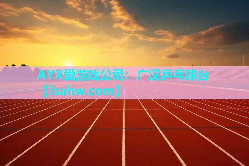 AYX爱游戏公司：广汉乒乓球台