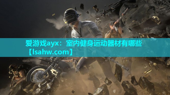 爱游戏ayx：室内健身运动器材有哪些