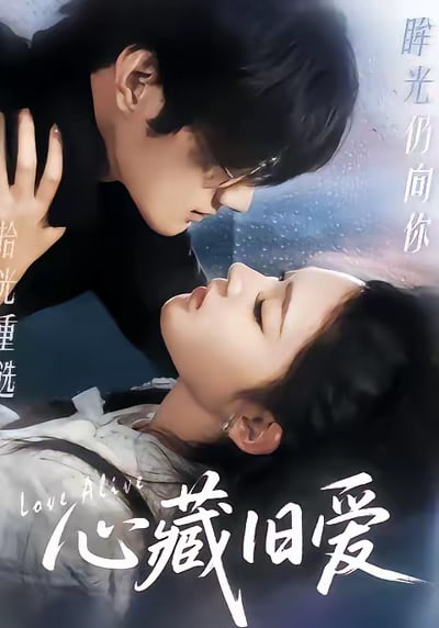排球少年